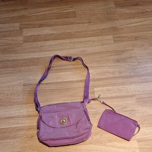 Baggallini Purple Crossbody Bag Set